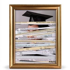 Princeton University Press Financial Aid Guide Kindle Edition-0